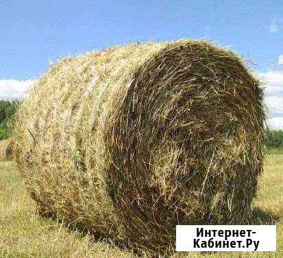 Сено Белогорск