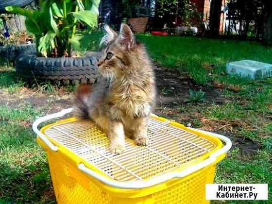 Мальчик Краснодар