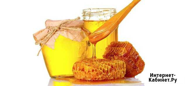 Мёд и продукты пчеловодства Воткинск - изображение 1