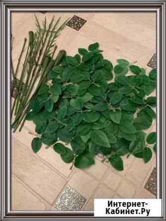 Листья розы + стебли Тюмень