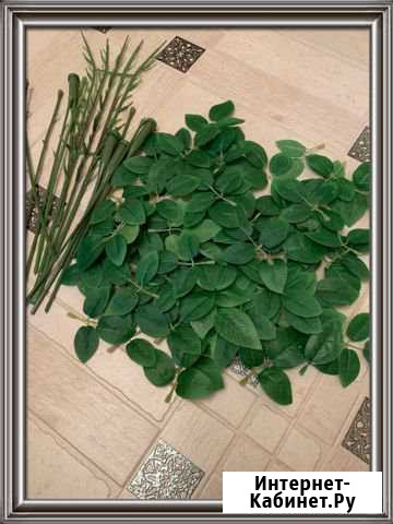 Листья розы + стебли Тюмень - изображение 1