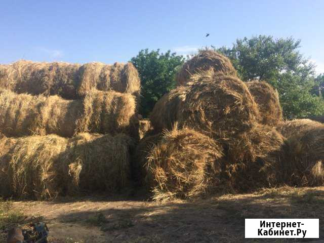 Продам сено 2019 года Донское - изображение 1