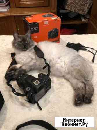 Фотоаппарат зеркальный Sony alpha a58 Самара