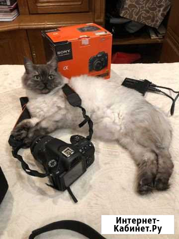 Фотоаппарат зеркальный Sony alpha a58 Самара - изображение 1
