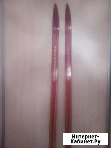 Лыжи Петрозаводск - изображение 1