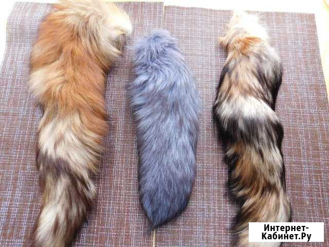 Лисий хвост Красноярск - изображение 1