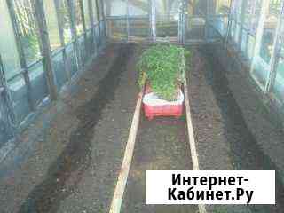 Участок 8 сот. (СНТ, ДНП) Омск