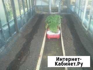 Участок 8 сот. (СНТ, ДНП) Омск - изображение 1