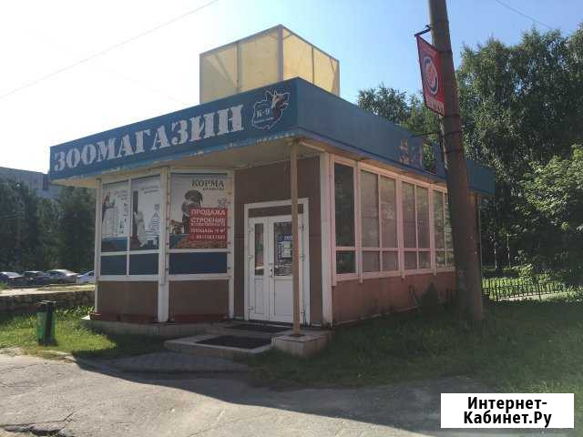 Продам торговое помещение, 65 кв.м. Архангельск - изображение 1