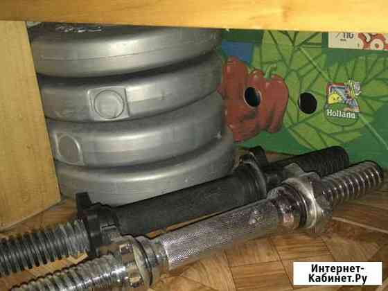 Гантели Калининград