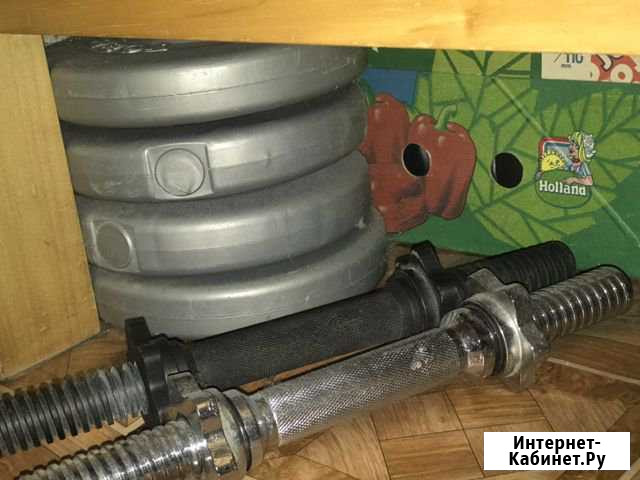 Гантели Калининград - изображение 1