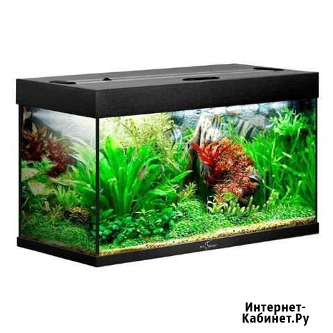 Аквариум Жигулевск - изображение 1
