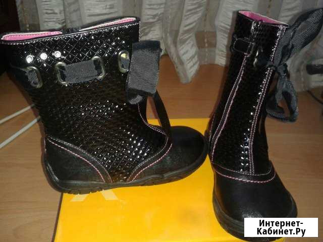 Сапоги новые Ростов-на-Дону - изображение 1