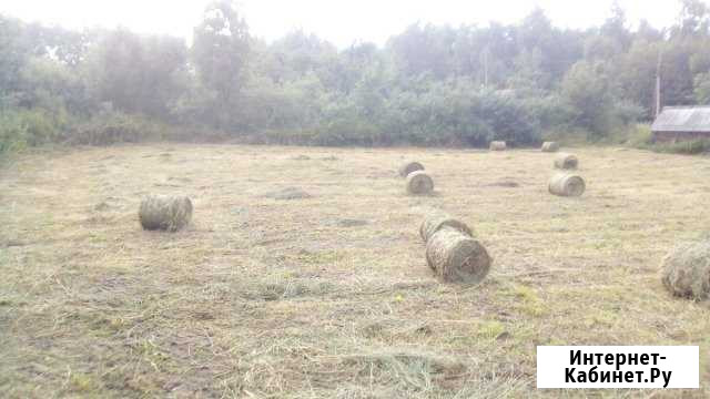 Сено в рулонах Мглин - изображение 1