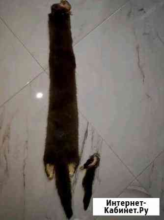 Шкурка норки Ярославль