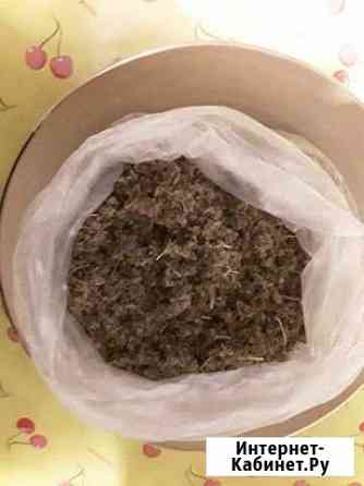 Семена моркови Сочи