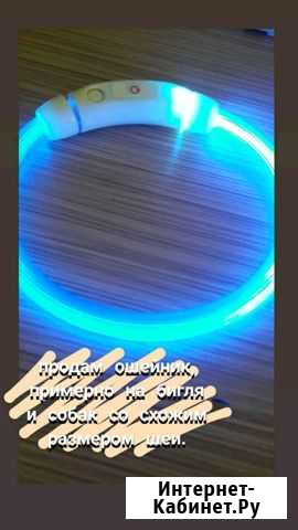 LED ошейник светящийся для собак Ногинск - изображение 1