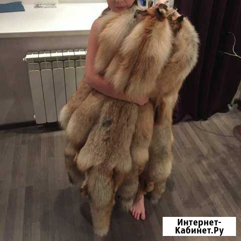 Шкуры лисы Барнаул - изображение 1