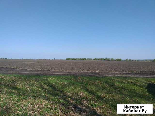 Участок 7.8 га (СНТ, ДНП) Городище - изображение 1