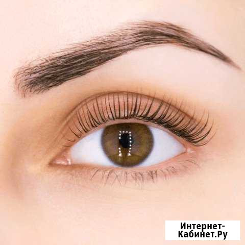 Окрашивание и коррекция бровей Калининград - изображение 1