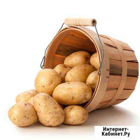 Продам мелкую картошку Белорецк