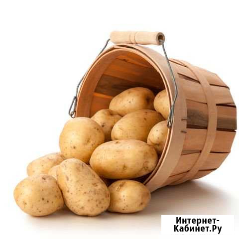 Продам мелкую картошку Белорецк - изображение 1