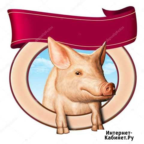 Поросята Иркутск - изображение 1