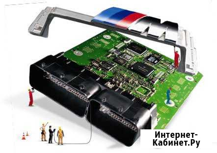 Автоэлектрик, DPF off, EGR off, катализатор и тд Калининград - изображение 1