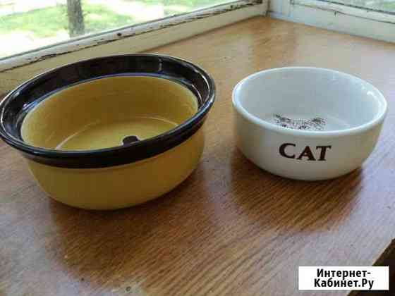 Миски, Расческа и другое для кошки Рязань