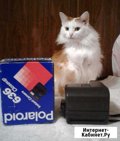 Отличный Polaroid 636 Кинешма - изображение 1