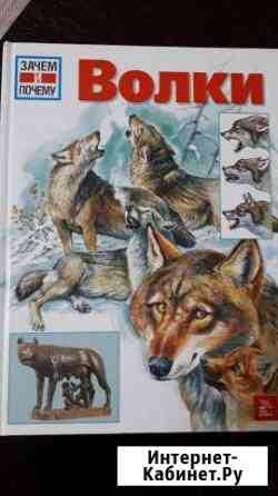 Волки. Серия Зачем и почему Липецк
