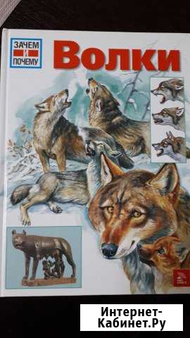 Волки. Серия Зачем и почему Липецк - изображение 1