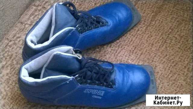 Ботинки лыжные 40 р-р Челябинск - изображение 1