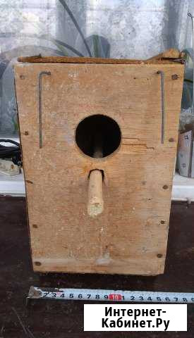 Домики-гнезда для попугаев Новороссийск - изображение 1