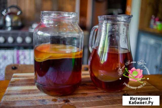 Чайный гриб Барнаул - изображение 1