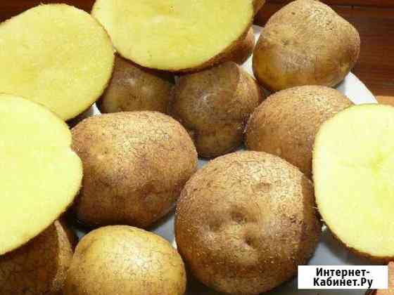 Деревенская домашняя вкусная рассыпчатая картошка Ростов