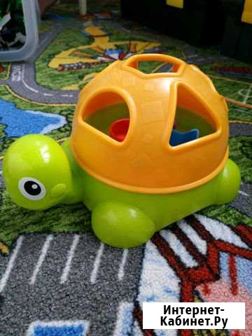 Черепаха геометрическая Барнаул - изображение 1