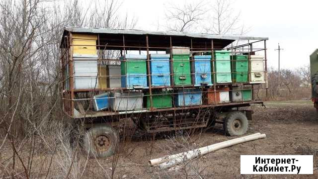 Пчелоприцеп Славянск-на-Кубани - изображение 1