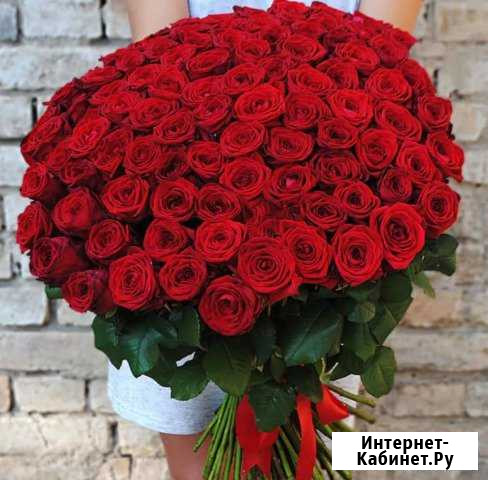 101 роза 2500 Краснодар - изображение 1