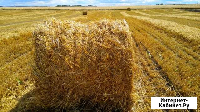 Солома Арзамас - изображение 1