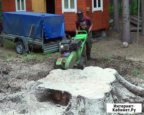 Корчевание пней, удаление пней Брянск - изображение 1