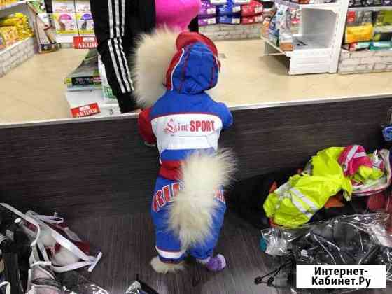 Костюмчик для собак Челябинск