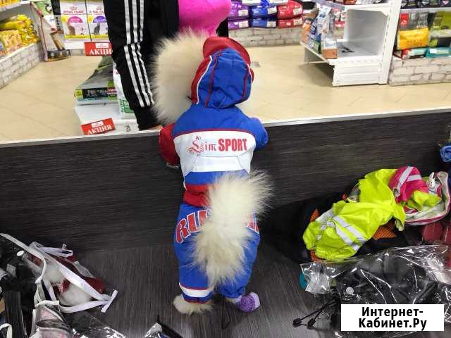 Костюмчик для собак Челябинск - изображение 1