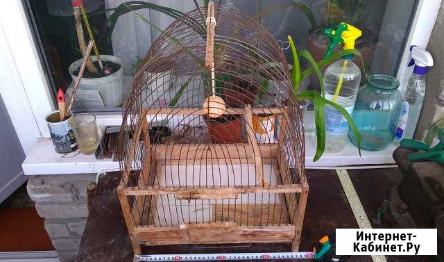 Комнатная и пересносная клетки для попугаев Новороссийск - изображение 1