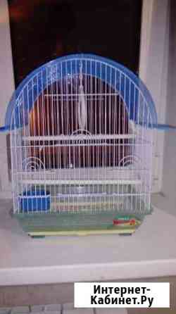 Клетка Нижний Новгород