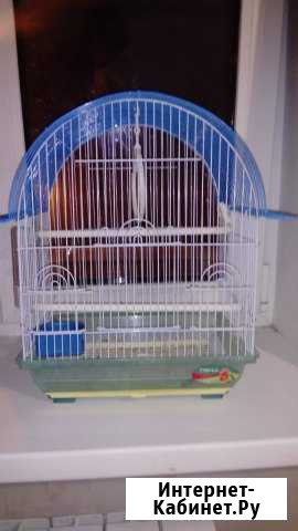 Клетка Нижний Новгород - изображение 1