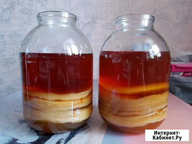 Чайный гриб Петропавловск-Камчатский - изображение 1