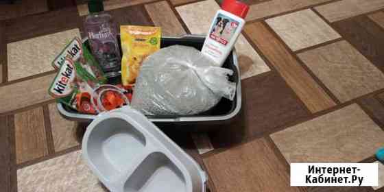 Набор для кошек Пенза