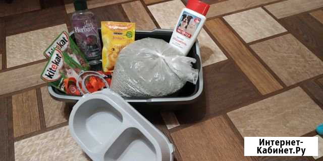 Набор для кошек Пенза - изображение 1