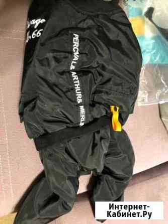 Одежда для собак Новокузнецк